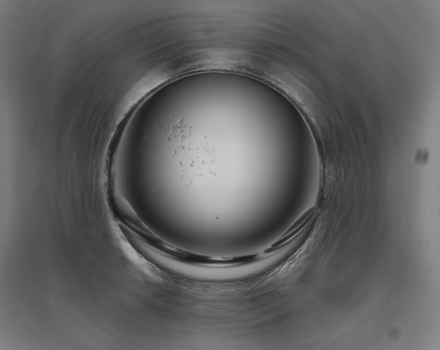 X0000096171042200801181245