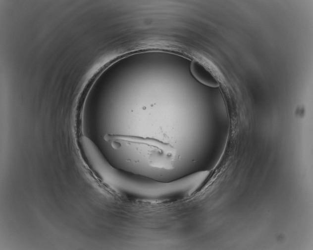 X0000096171043200801181245