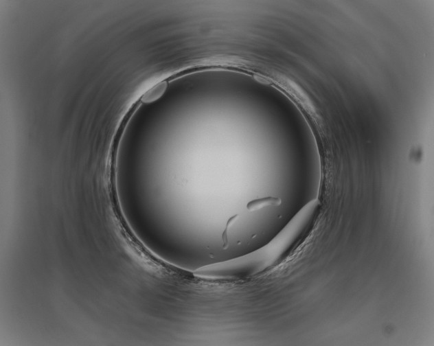 X0000096171044200801181245