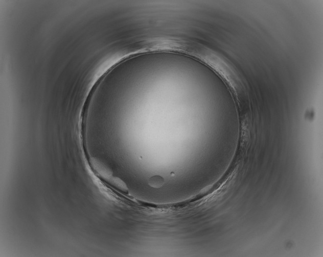 X0000096171047200801181245