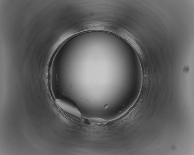 X0000096171051200801181245