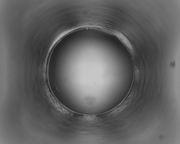 X0000096171052200801181245