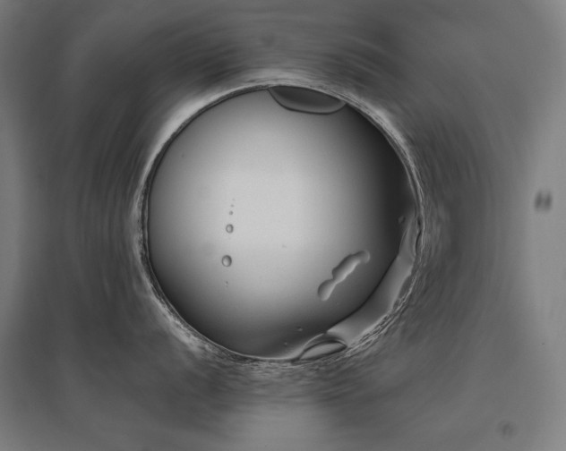 X0000096171056200801181245