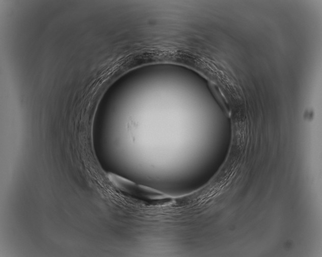 X0000096171057200801181245