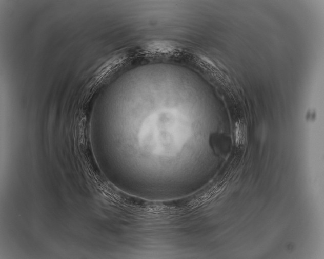 X0000096171059200801181245