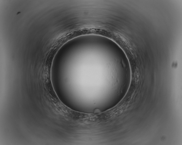 X0000096171062200801181245