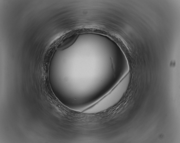 X0000096171064200801181245