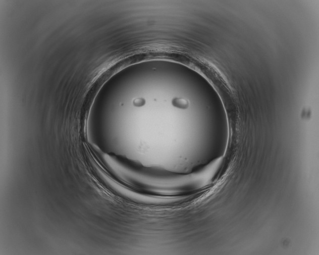 X0000096171065200801181245