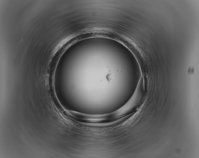X0000096171066200801181245
