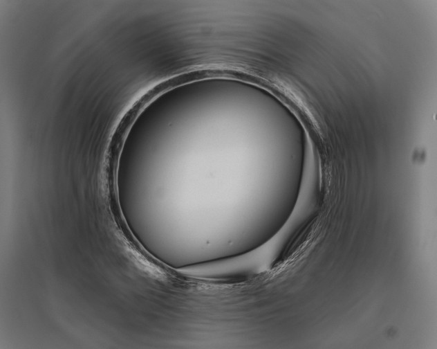 X0000096171068200801181245