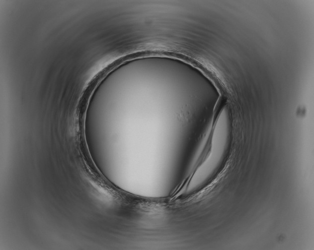 X0000096171070200801181245