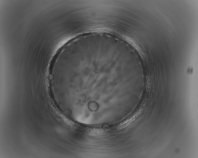 X0000096171071200801181245