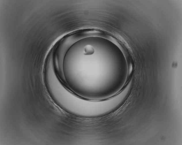 X0000096171076200801181245