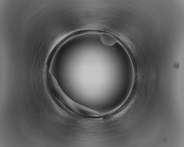 X0000096171077200801181245