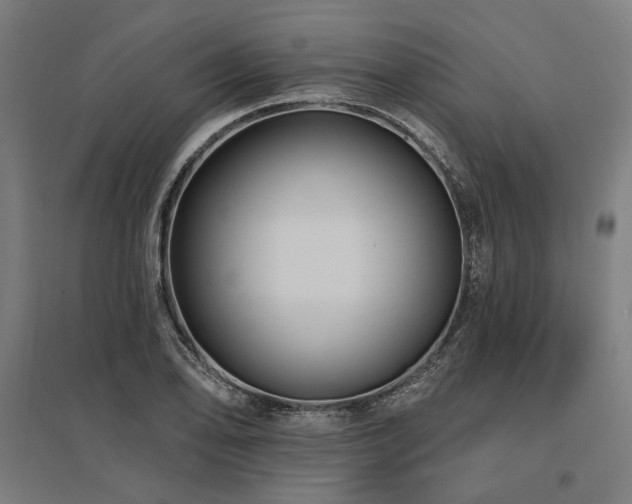 X0000096171078200801181244
