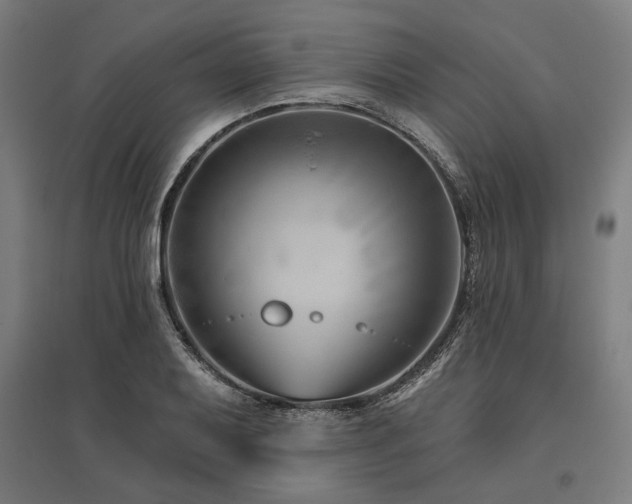 X0000096171079200801181244
