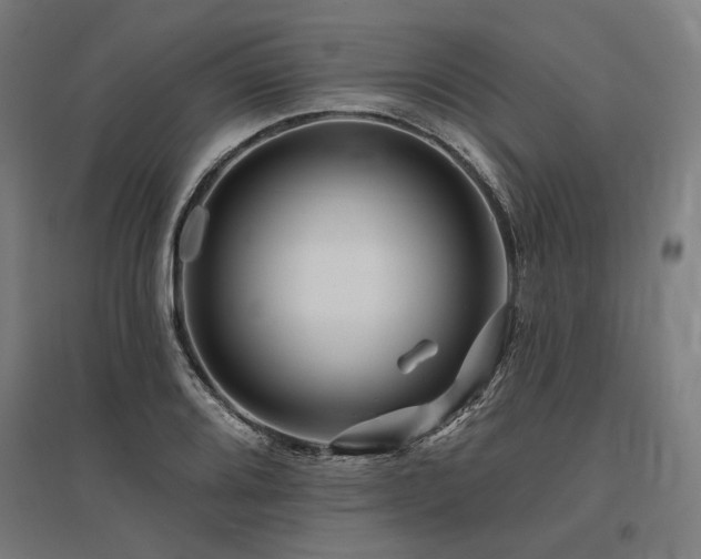 X0000096171080200801181244