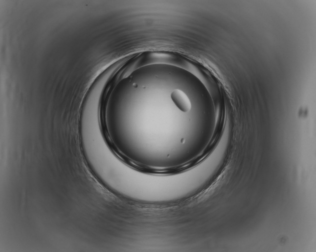 X0000096171081200801181244