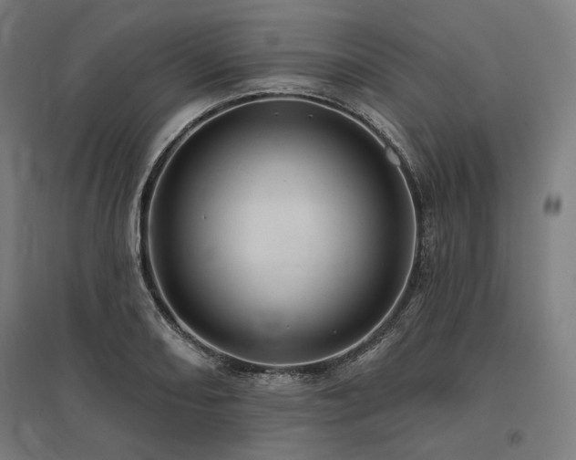 X0000096171082200801181244
