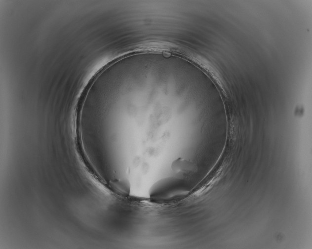 X0000096171083200801181244
