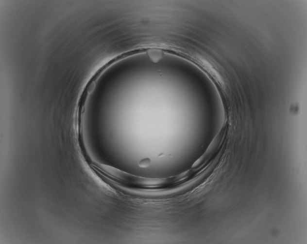 X0000096171084200801181244