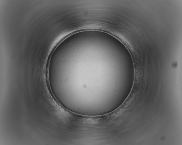 X0000096171086200801181244