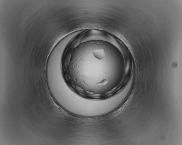 X0000096171089200801181244