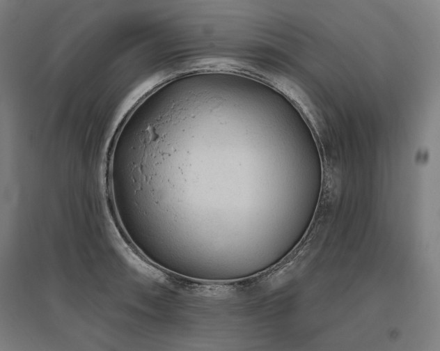 X0000096171090200801181244
