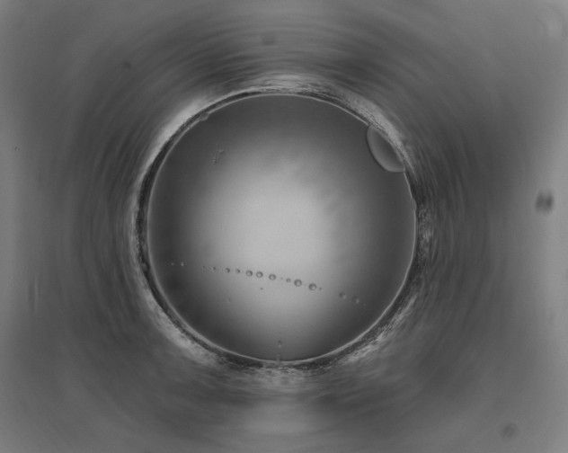 X0000096171091200801181244