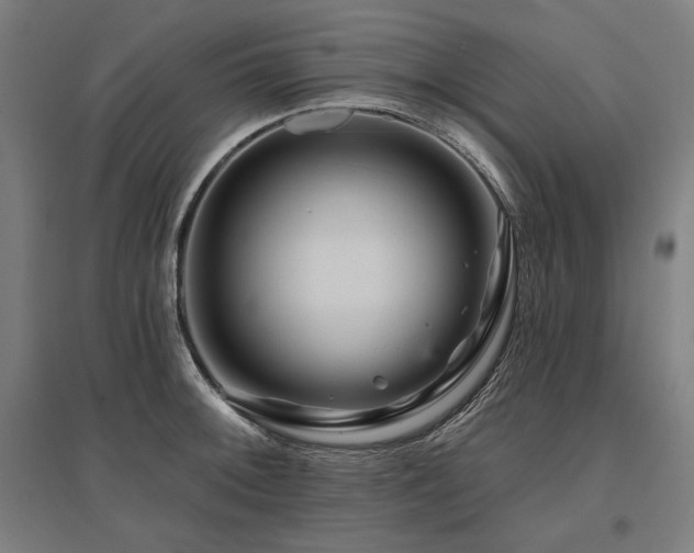 X0000096171092200801181244