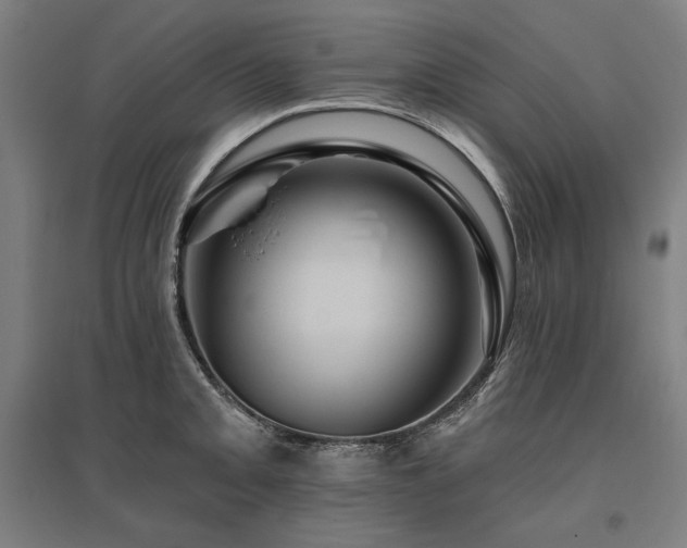 X0000096171093200801181244
