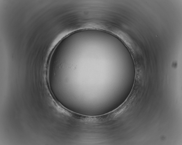 X0000096171094200801181244