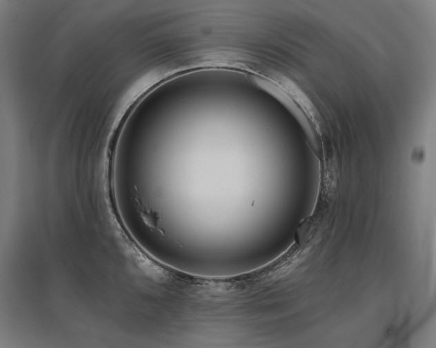 X0000096171096200801181244