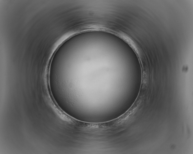 X0000096171098200801181244