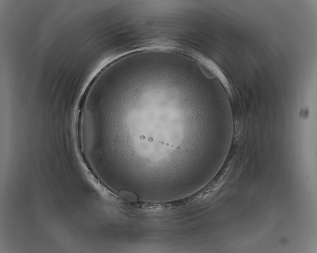 X0000096171099200801181244