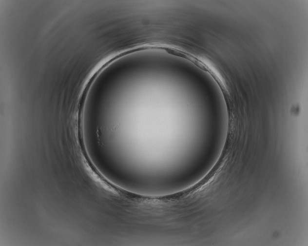 X0000096171100200801181244