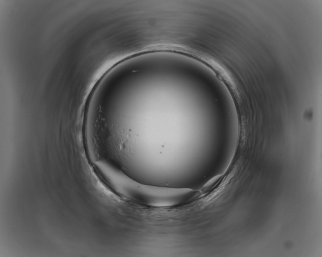 X0000096171102200801181244