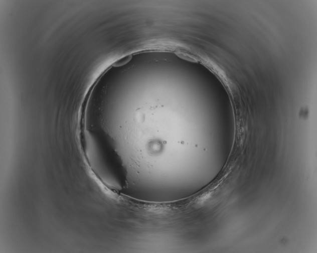 X0000096171103200801181244