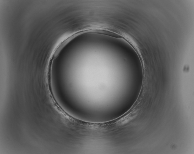X0000096171104200801181244