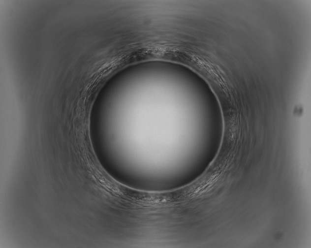 X0000096171105200801181243
