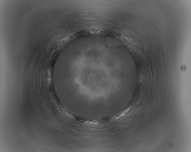 X0000096171106200801181243