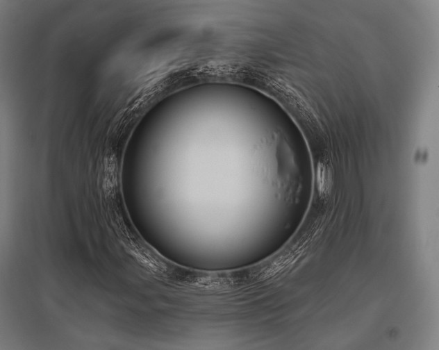 X0000096171107200801181244
