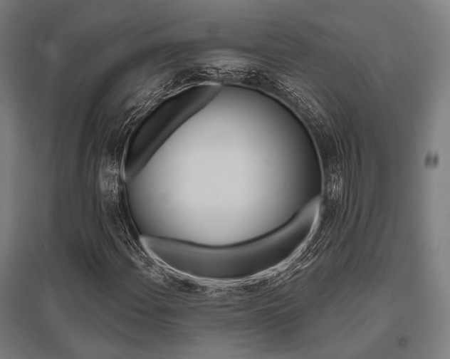 X0000096171108200801181244