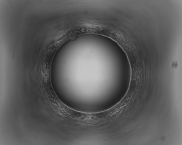 X0000096171109200801181244