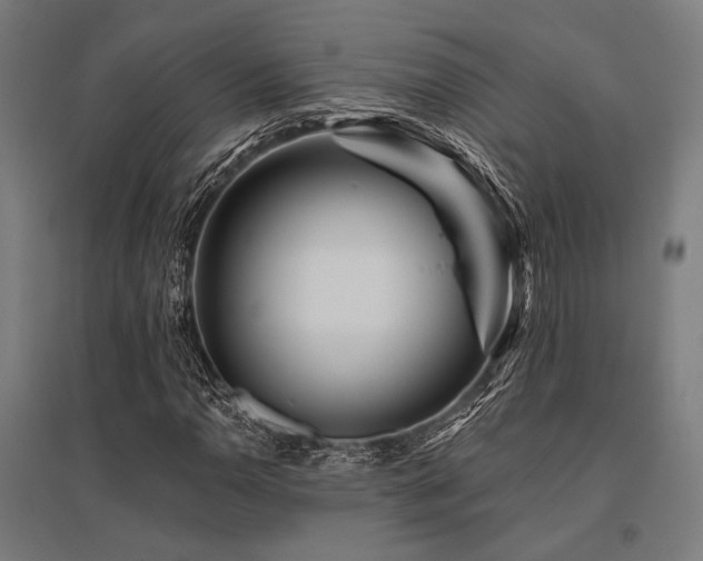 X0000096171110200801181244