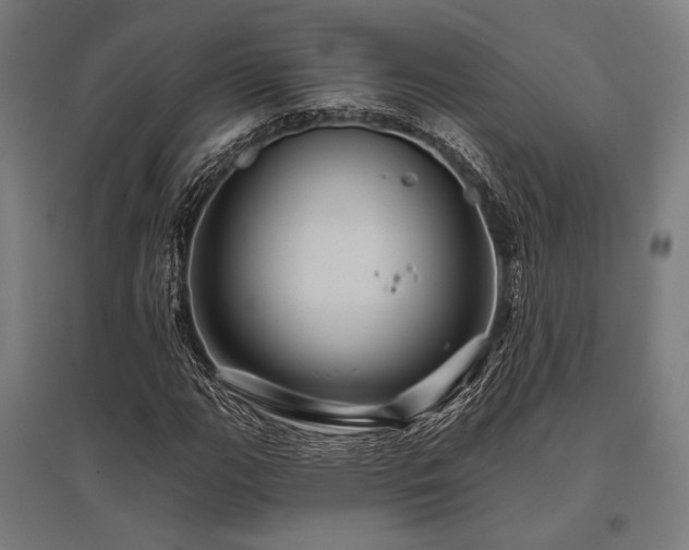X0000096171111200801181244