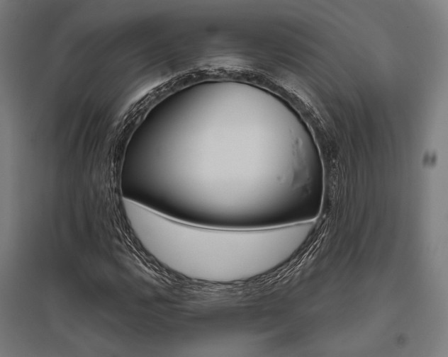 X0000096171112200801181244
