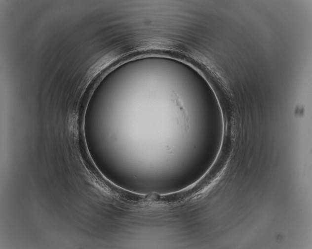 X0000096171113200801181244