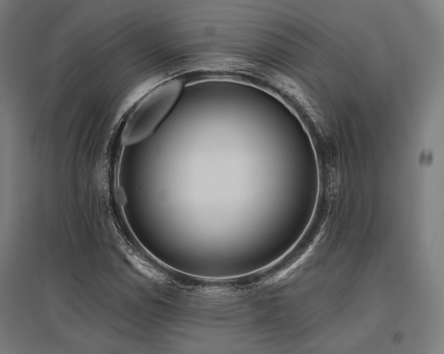 X0000096171114200801181244
