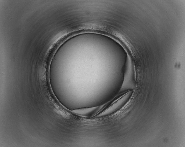 X0000096171115200801181244